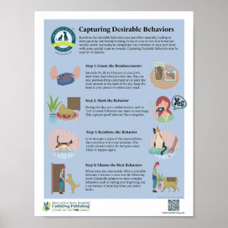 Capturing Desirable Behaviors Poster