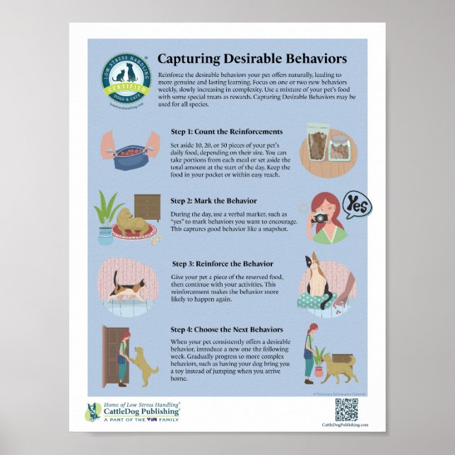 Capturing Desirable Behaviors Poster (Front)