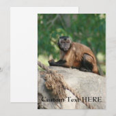 Capuchin Monkey Cute But Cranky (Front/Back)