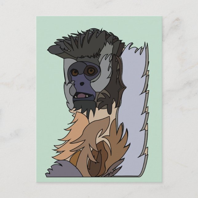 Capuchin Monkey  Postcard (Front)