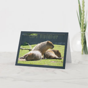 Capy Birthday - Capybara Birthday Greeting Card