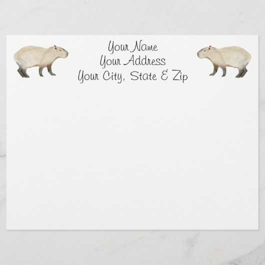 Capybara (Front)