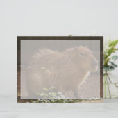 Capybara (Standing Front)