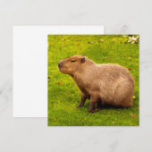 Capybara (Front/Back)