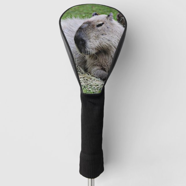 capybara 07 golf head cover (Front)