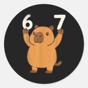 Capybara 67 Meme Six Seven Funny  Classic Round Sticker