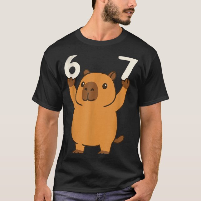 Capybara 67 Meme Six Seven Funny  T-Shirt (Front)
