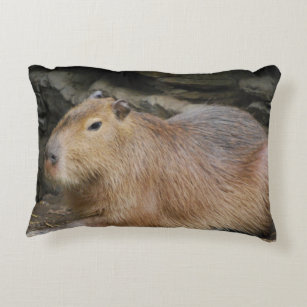 pillow pets capybara