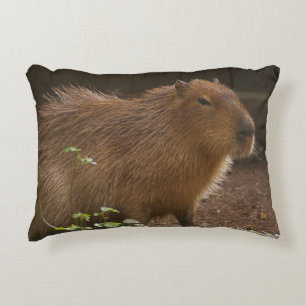 Capybara Accent Pillow