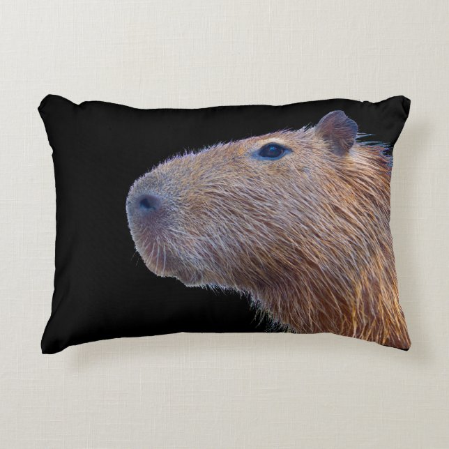 Capybara Accent Pillow (Front)