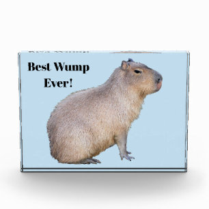 Capybara Acrylic Award