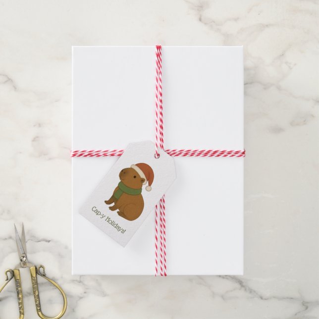 Capybara at Christmas Gift Tags (With Twine)