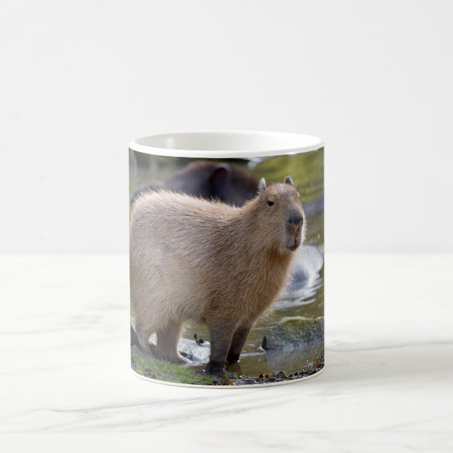 Capybara at the edge of a pond coffee mug (Center)