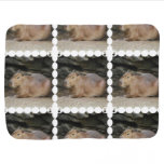 Capybara Baby Blanket