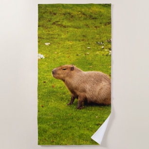 Capybara Beach Towel