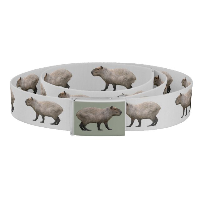 Capybara Belt (Coil)