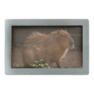 Capybara Belt Buckle