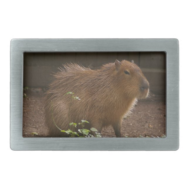 Capybara Belt Buckle (Front)