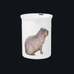 Capybara Beverage Pitcher<br><div class="desc">A photograph of a cute Capybara adorns this pitcher! Customize by adding text or changing the background color to suit yourself.</div>