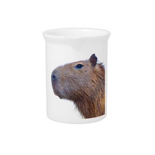 Capybara Beverage Pitcher