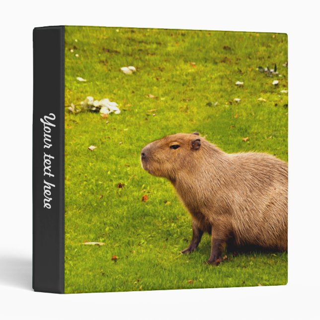 Capybara Binders (Front/Spine)
