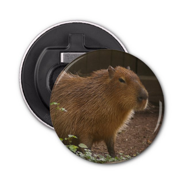 Capybara Bottle Opener (Front)
