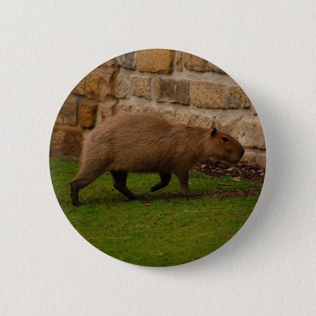 capybara button (Front)