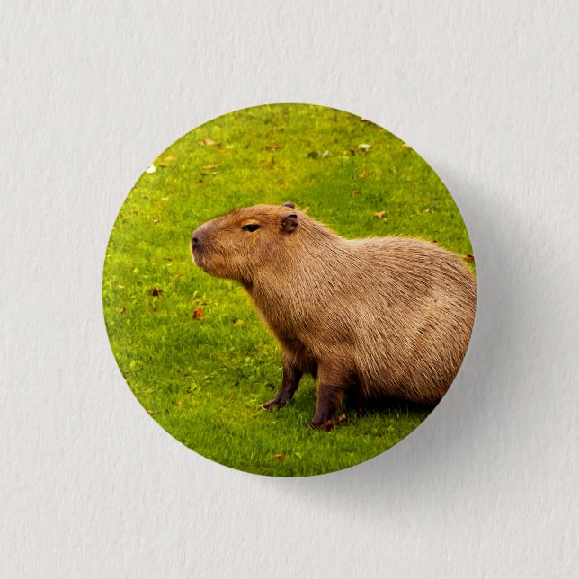 Capybara Button (Front)