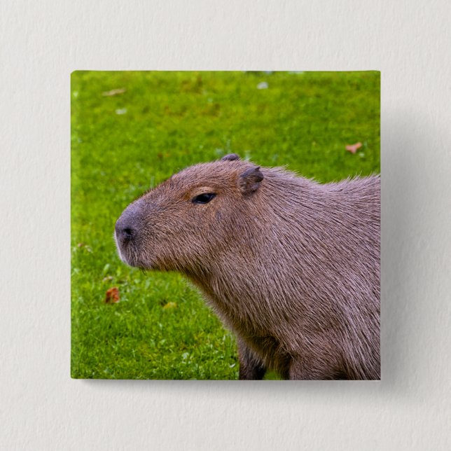 Capybara Button (Front)