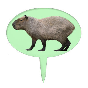 Capybara Cake Topper