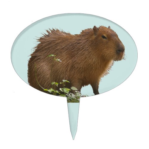 Capybara Cake Topper