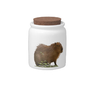 Capybara Candy Jar