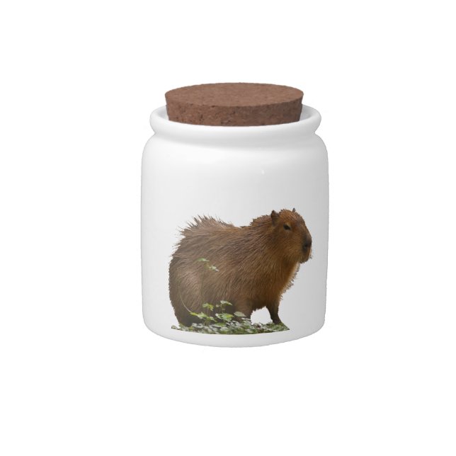 Capybara Candy Jar (Front)