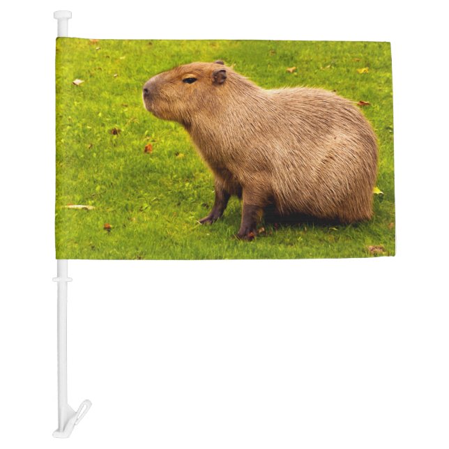 Capybara Car Flag (Front)