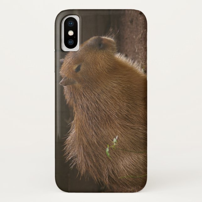 Capybara Case-Mate iPhone Case (Back)