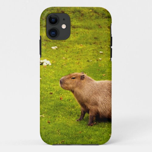 Capybara iPhone 11 Case