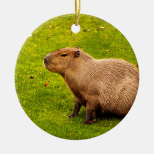 Capybara Ceramic Ornament