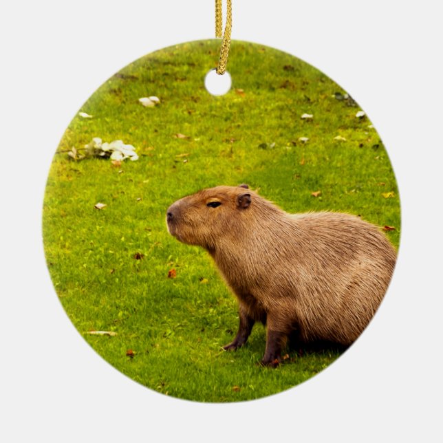 Capybara Ceramic Ornament (Front)