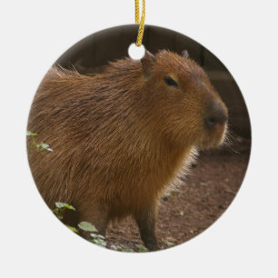 Capybara Ceramic Ornament
