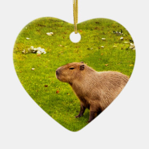 Capybara Dekorationen niedlichen Capybara Miniatur Ornament