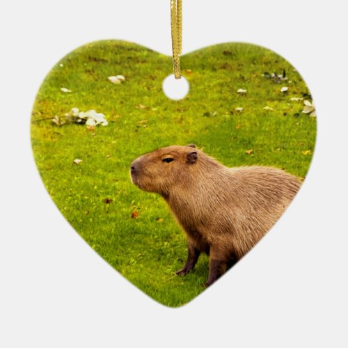 Capybara Ceramic Ornament