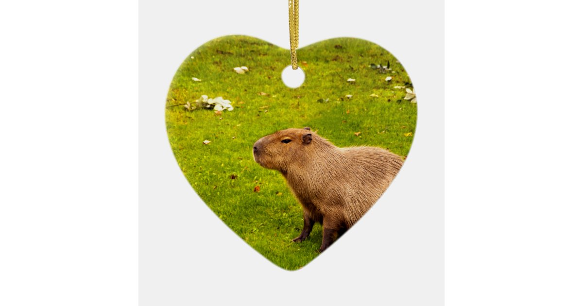 Capybara Ornament World's Largest Rodent Adorable Capybara Wood