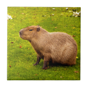 Capybara Ceramic Tile