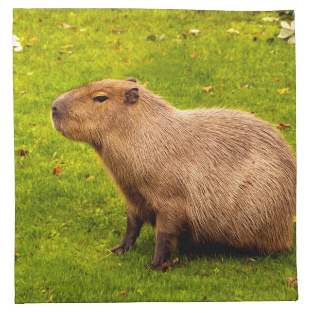 Capybara Cloth Napkin (Front)
