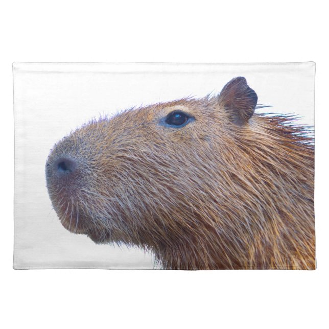Capybara Cloth Placemat (Front)