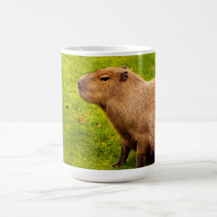 Capybara Coffee Mug