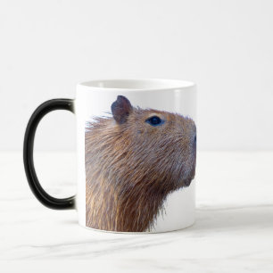Capybara Color Morph Mug