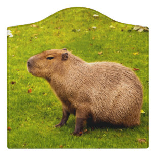 Capybara Door Sign