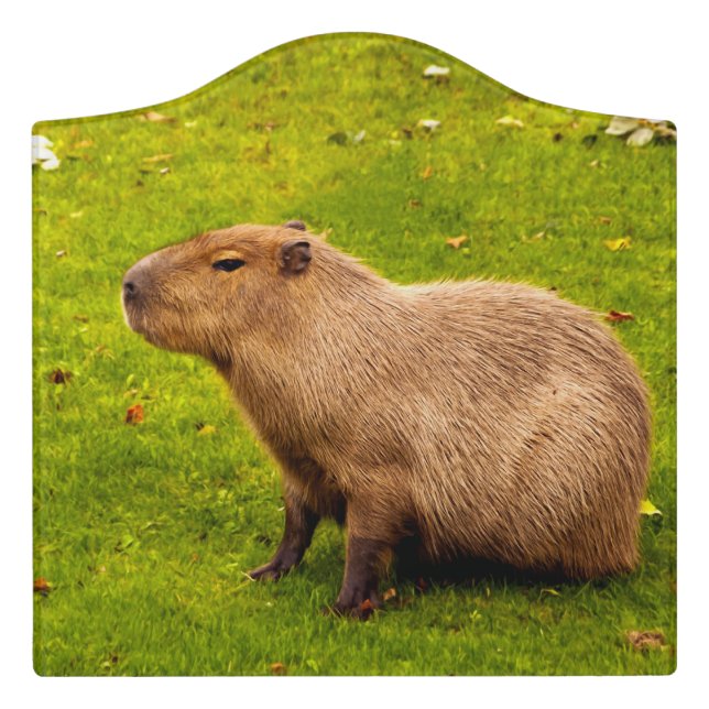 Capybara Door Sign (Large Crest Front)