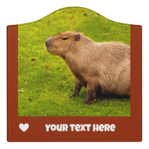 Capybara Door Sign